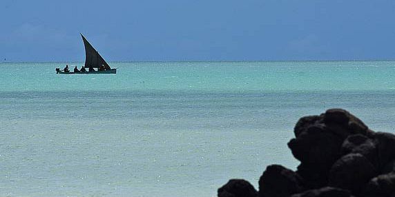 Ile aux Cocos Rodrigues (5)